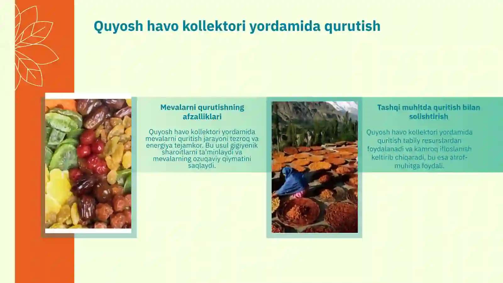 Mevalarni qurutishning afzalliklari. Mevalarni quyosh havo kollektori yordamida qurutish orqali nimalarga erishamiz 4