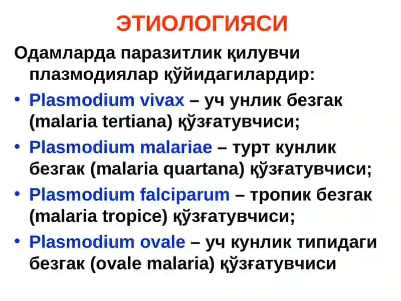 БЕЗГАК(МАЛЯРИЯ,MALARIA) 4