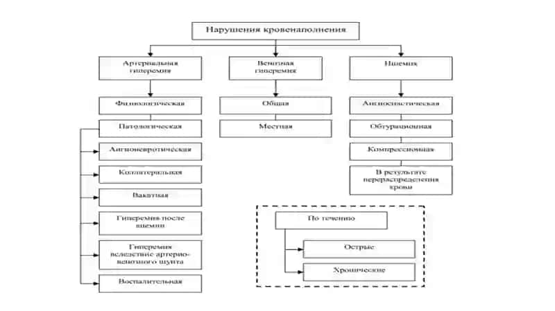 Қон айланиши бузулиши 4
