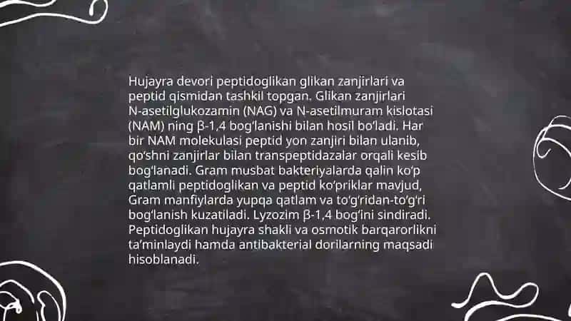 Prokariot hujayraning tuzilishi 4