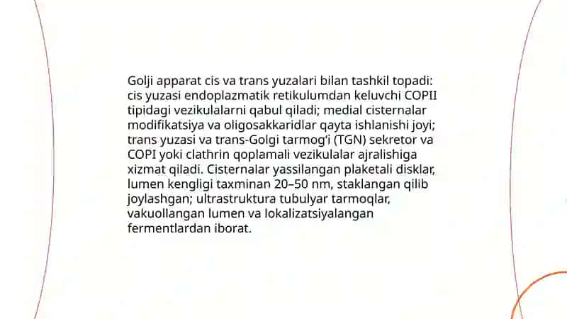 Sitoplazma orgonoidlari-golji apparati va lizosomaning tuzilishi 4