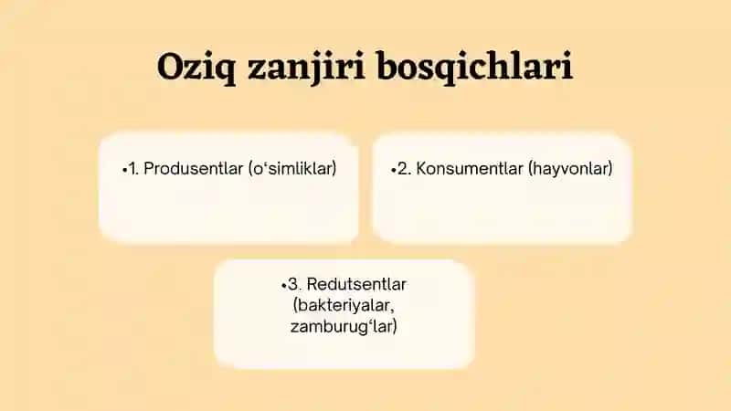 Tabiiy fandan Oziq zanjiri va oziq to'ri mavzusiga oid slayd 4