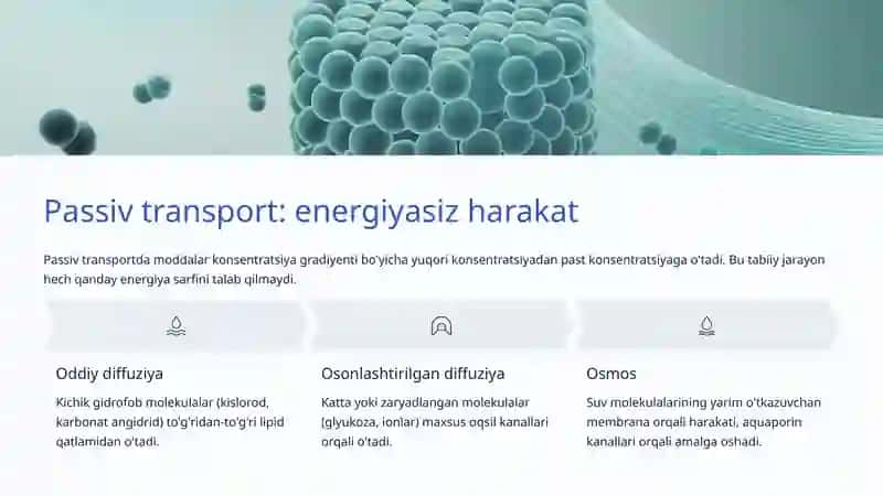 Hujayra Transport Mexanizmlari 4