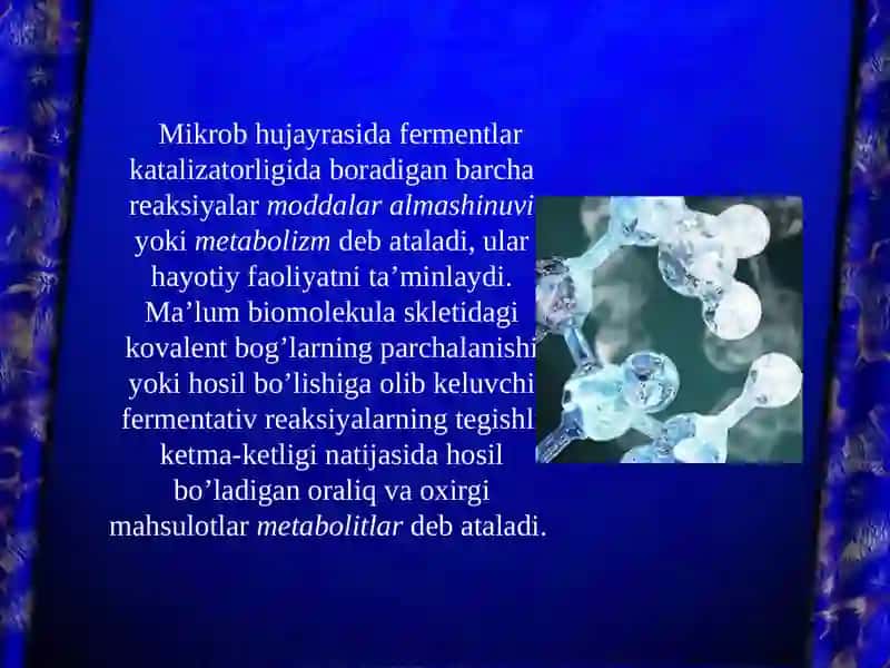 Mikroorganizmlarning xayot faoliyatida ishlab chiqaradigan moddalar 4