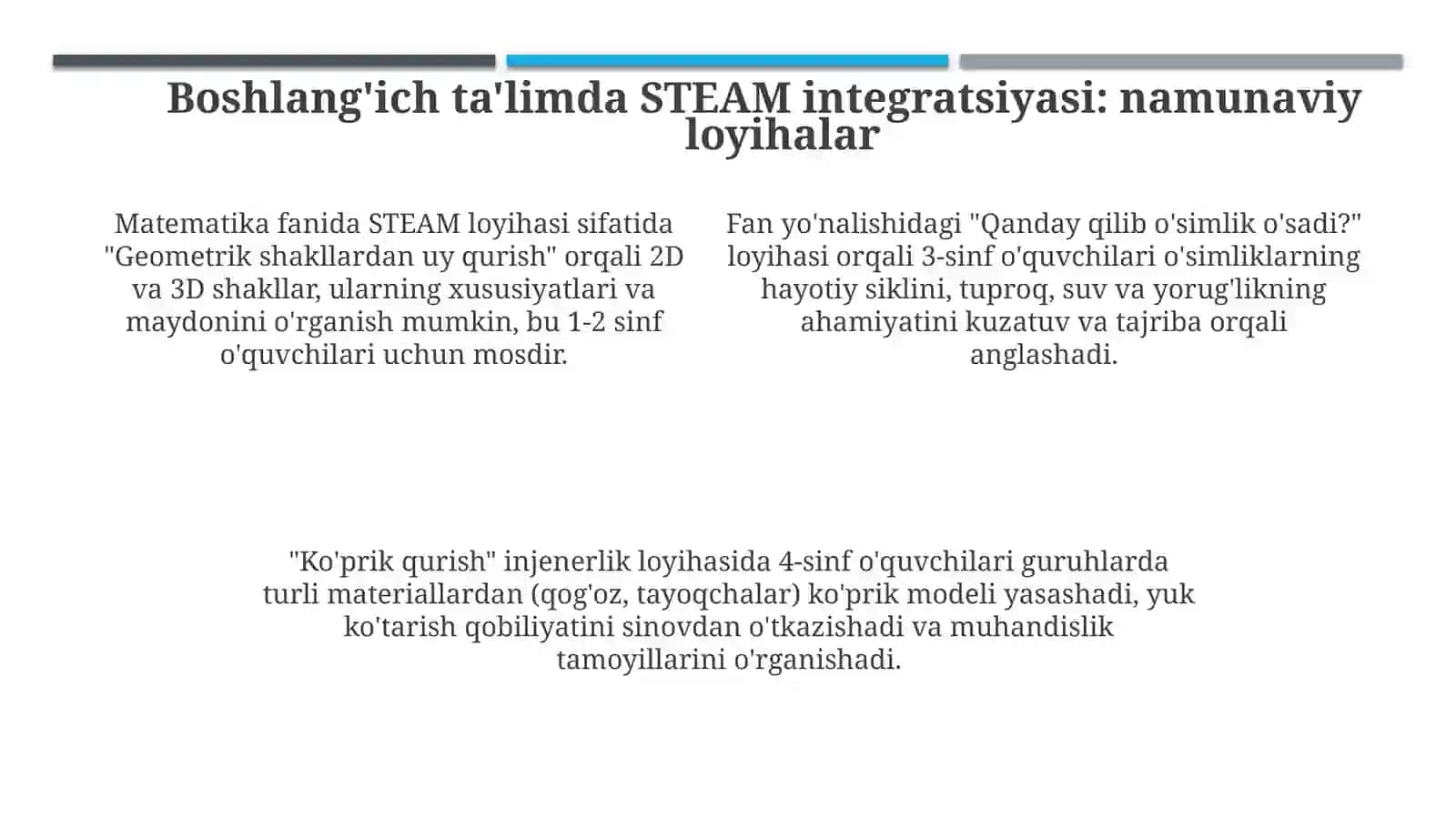 BoshlangichtalimdaSTEAMtexnologiyasiniqollashi 4