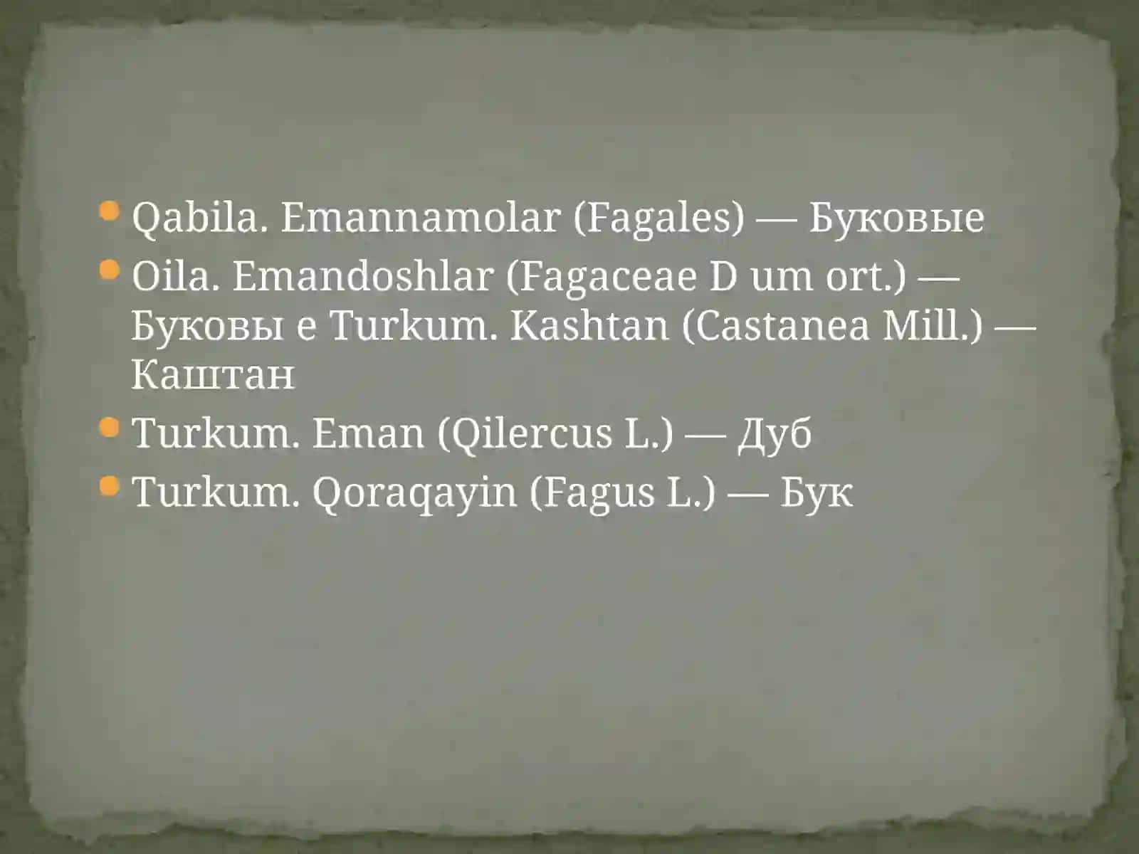 Emandoshlar (Fagaceae), Yong‘oqdoshlar (Juglandaceae) va Qayindoshlar (Betulaceae) oilasi 4
