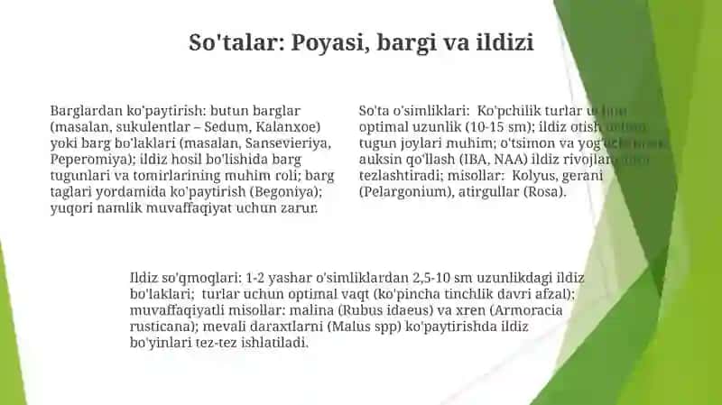 O'simliklarning vegetativ va generativ ko'payishi 4
