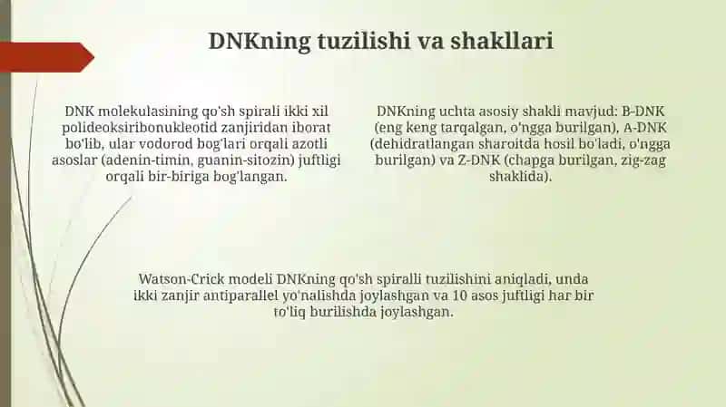 Nuklein kislotalar tuzulishi va fizik xossalari 4