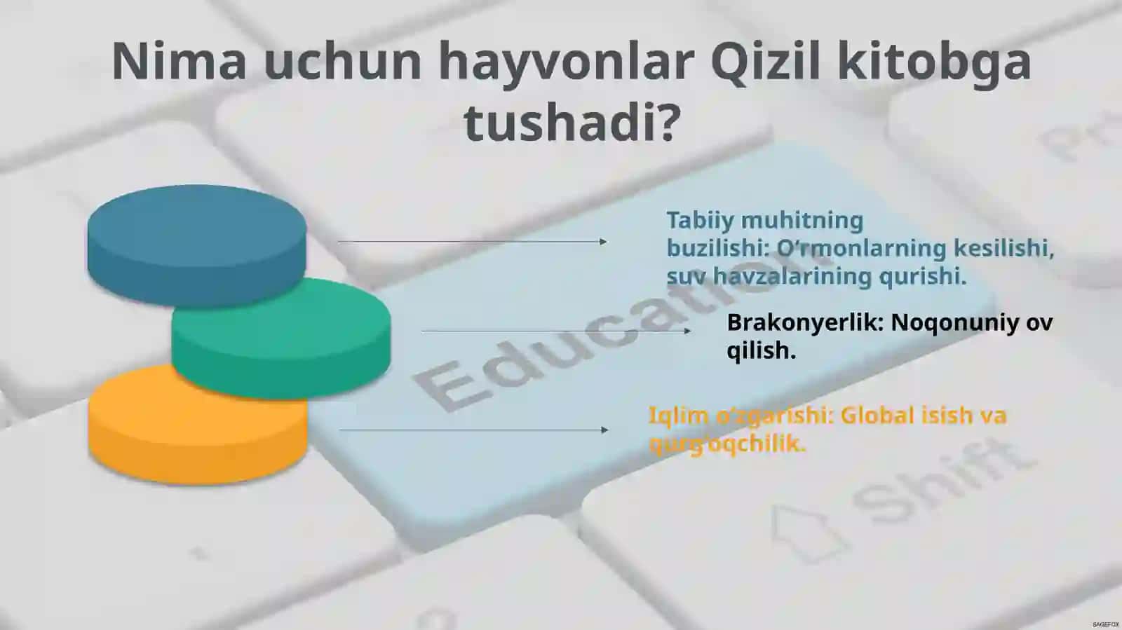 Qizilkitobgakiritilgan hanvonlarni o‘rganish 4