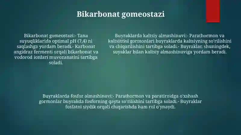 Buyraklarni Kalsiy,Fosfor Va Bikarbonat Almashinuvidagi Ahamiyati 4