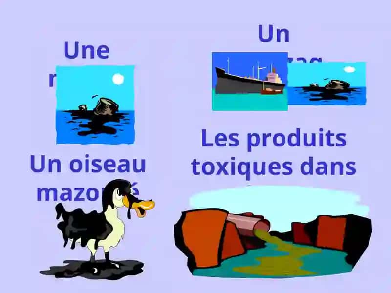 L'environnement et la pollution 4