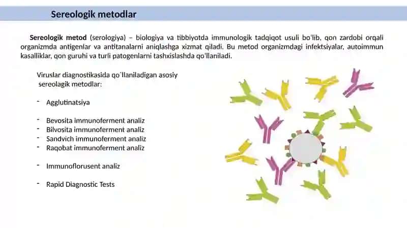 VIRUSLAR DIAGNOSTIKASI 4