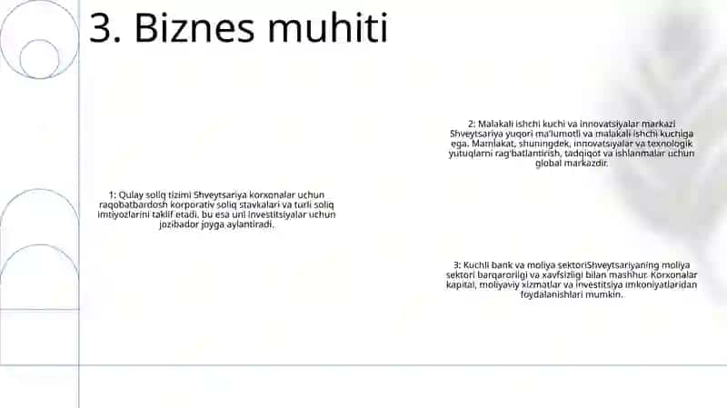 Tadbirkorlik Faoliyatini Rivojlantirishning Asosiy Yo’Nalishlari. Shveysariya 4