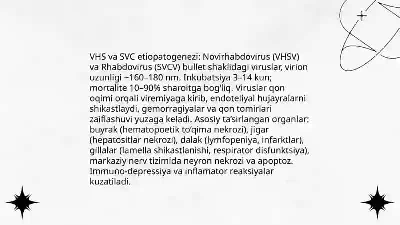 Baliqlarning virusli gemorragik septesemiya va barglarning bahorgi versiya kasalligi 4