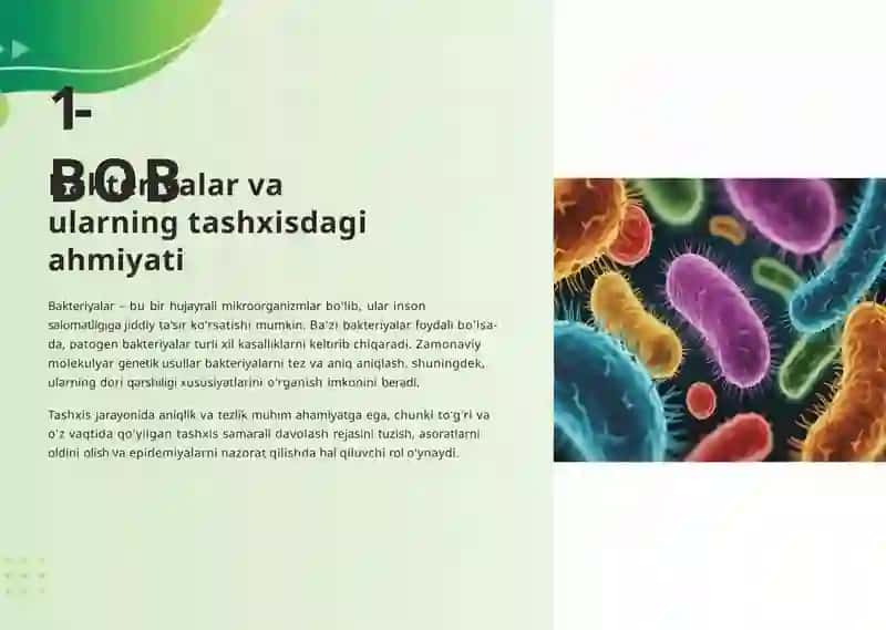 Mavzu: Bakteriyalar va ularning tashxisdagi ahamiyati 4