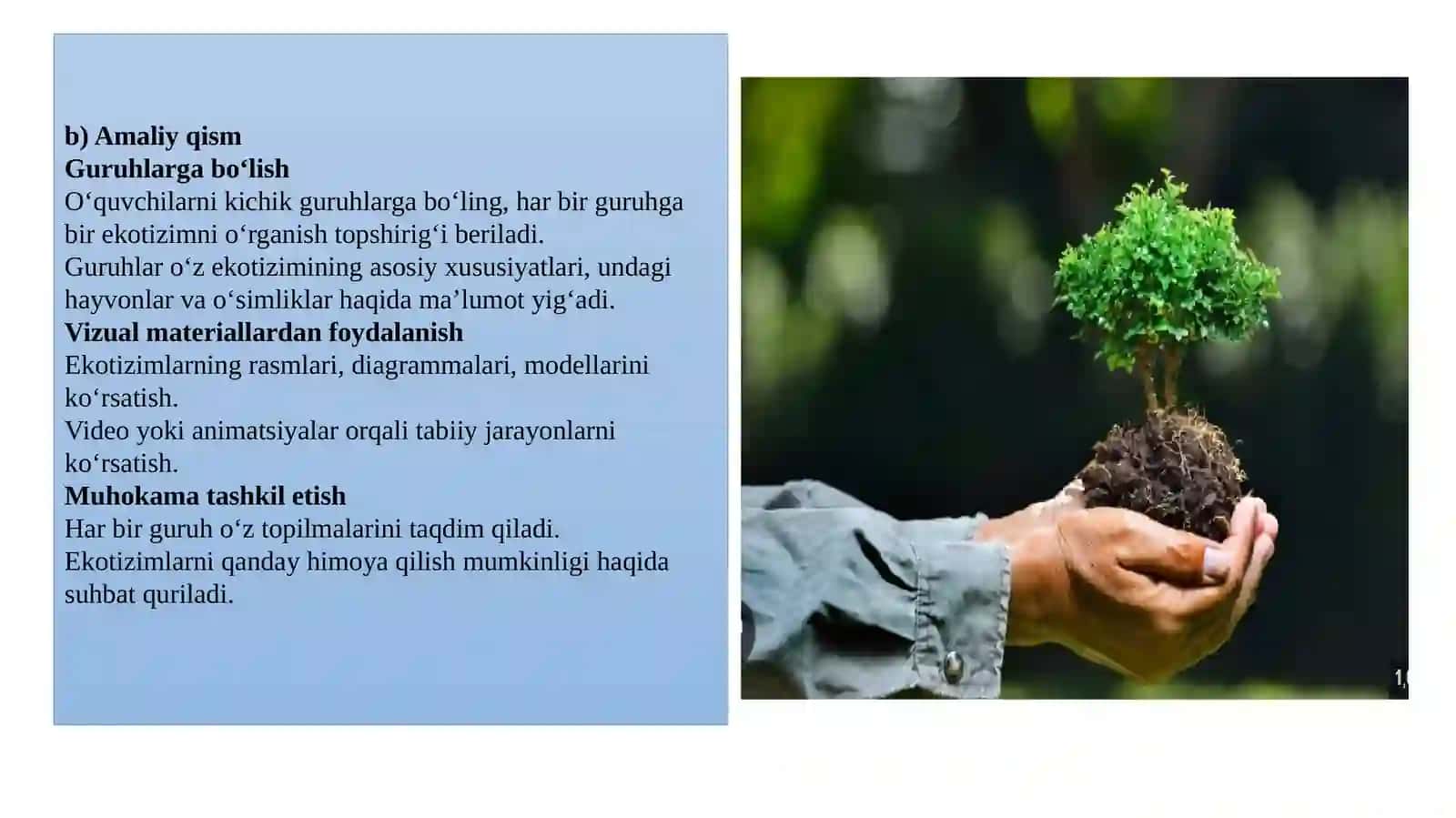 TABIIY EKOTIZIMLAR TO’G’RISIDA MASHG’ULOTLARNI O’TKAZISH METODIKASI 4