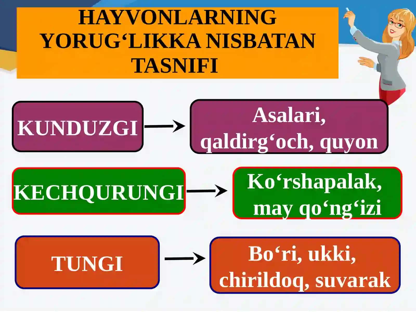 O‘SIMLIKLARNING YORUG‘LIKKA NISBATAN TASNIFI 4