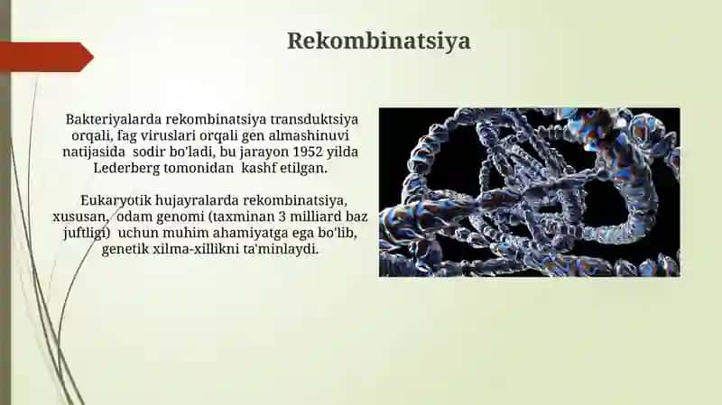 Irsiyatning Molekulyar Asoslari 4