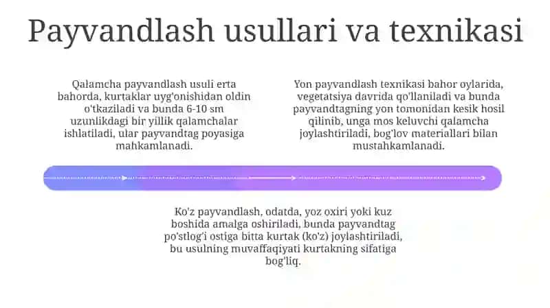 MEVA O'SIMLIKLARINI QALAMCHA PAYVAND QILISH USULLARI 4