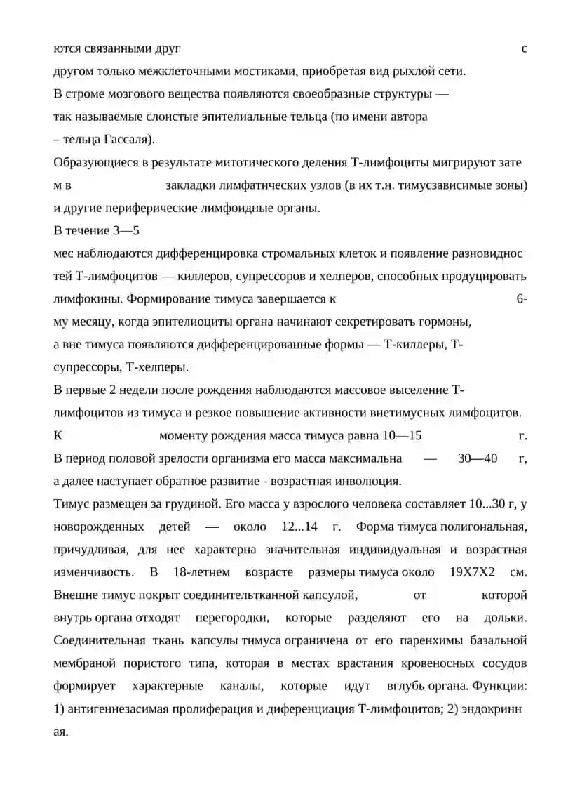 Органы гемопоэза и иммуногенеза 4