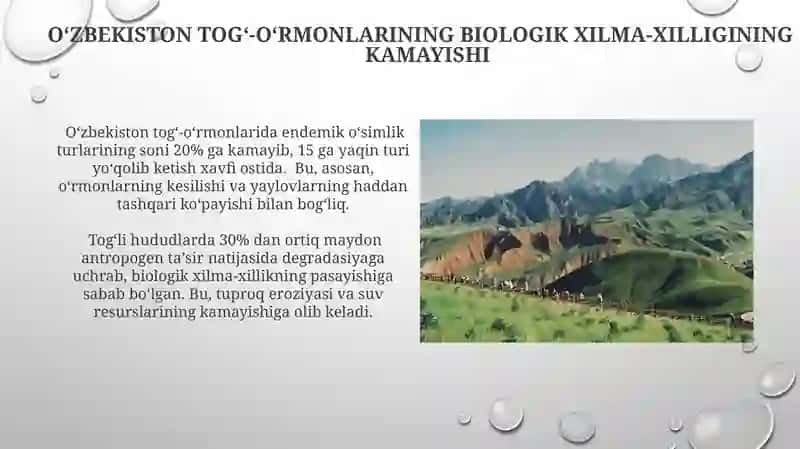 Oʼzbekistonning togʼ-oʼrmon ekotizimlarining antropogen omillar taʼsirida oʼzlashtirilishi 4