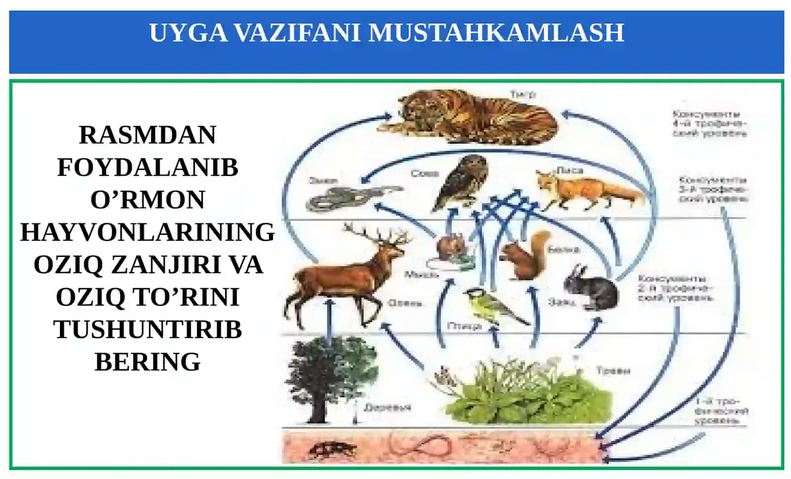 11-sinf Biologiya fanidan Ekotizimlarning mahsuldorligi mavzuda dars taqdimoti 4