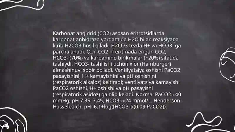 Nafas olish fiziologiyasining qon aylnaish tizimiga ta'siri 4