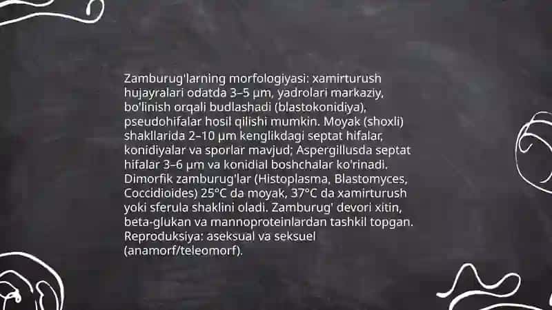 Zamburug' va parazitar infeksiyalar- etio-patogenezi, morfologiyasi 4