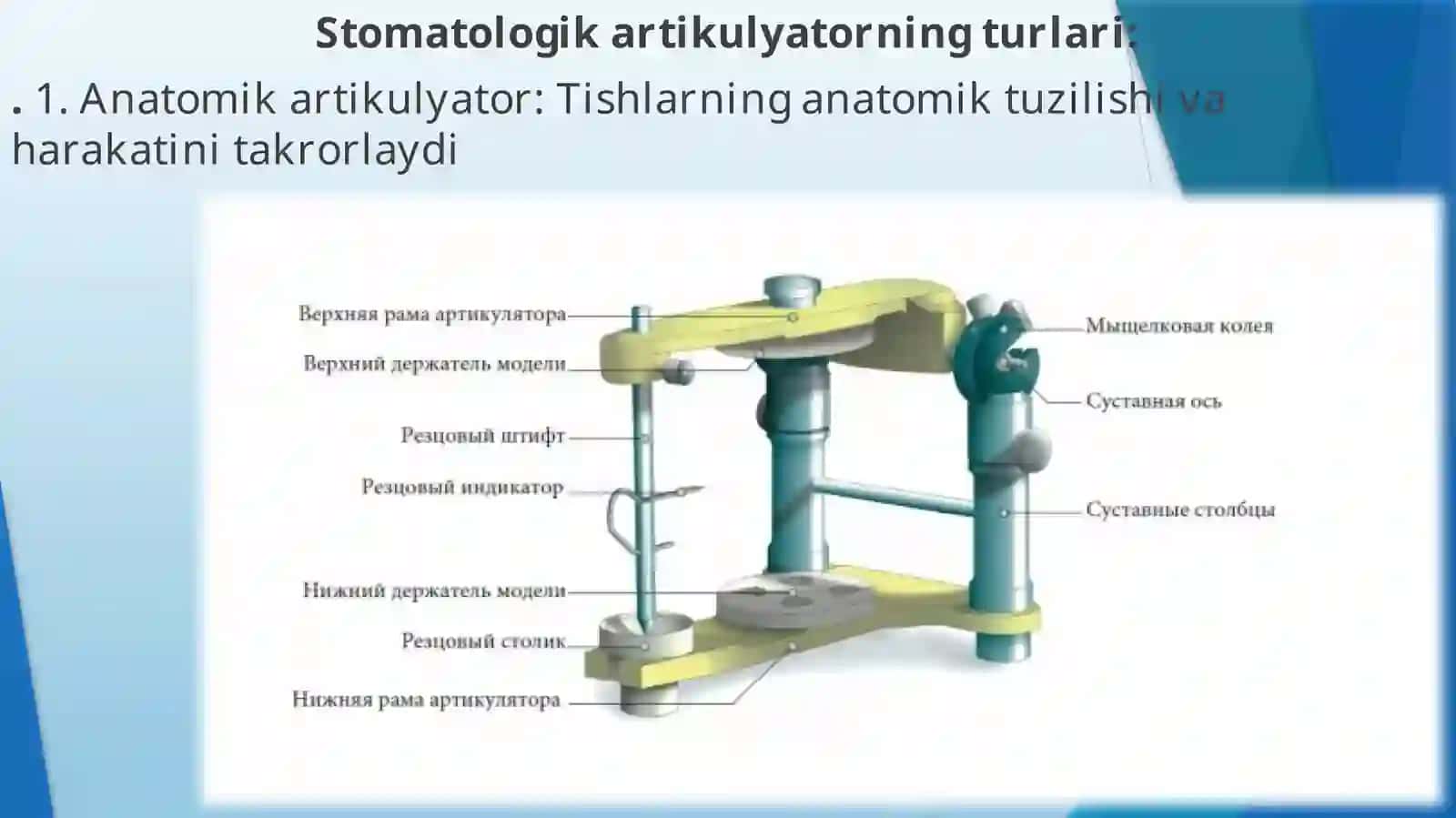 Stomatologik artikulyator 4