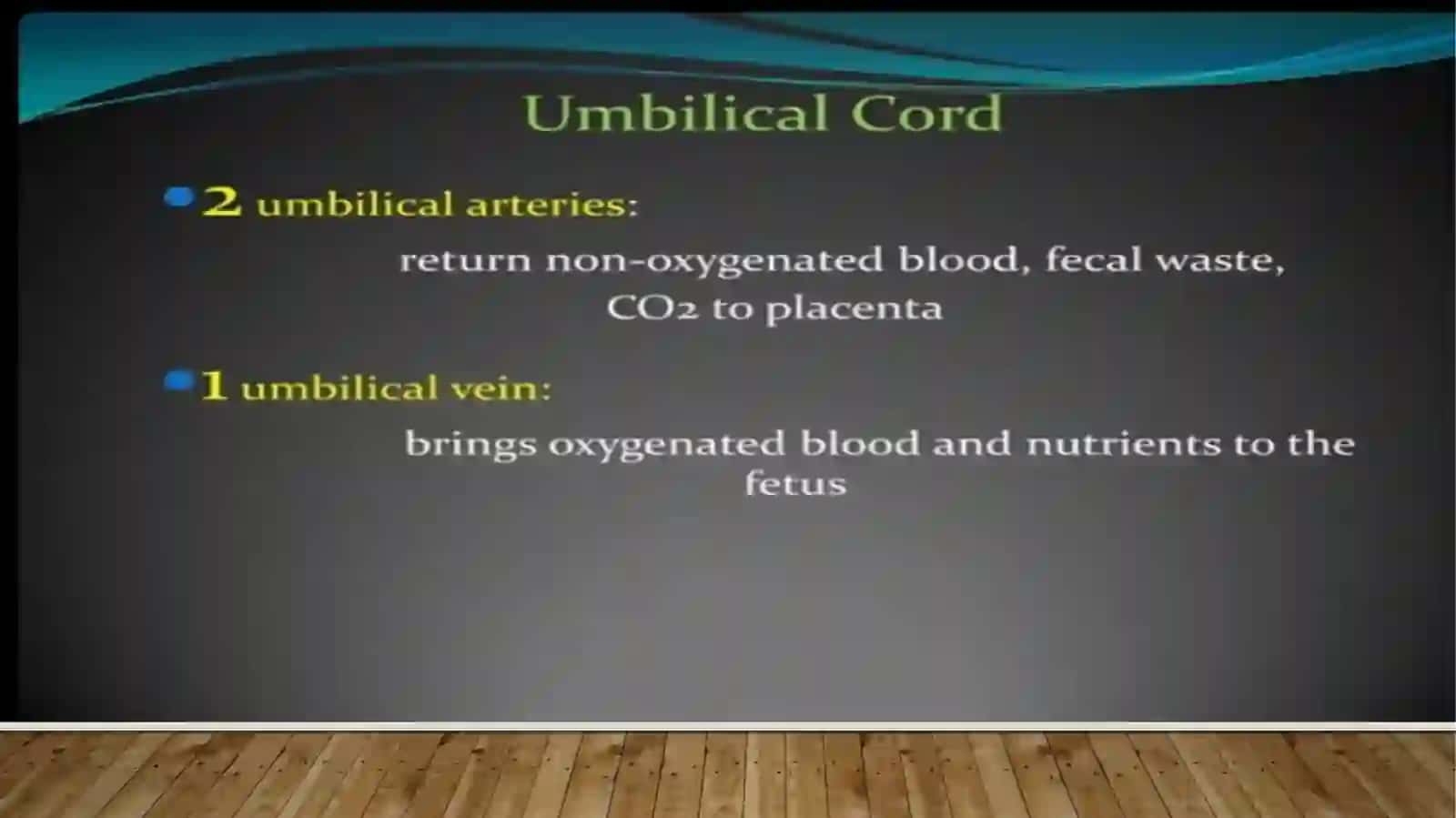 Fetalcirculation 4