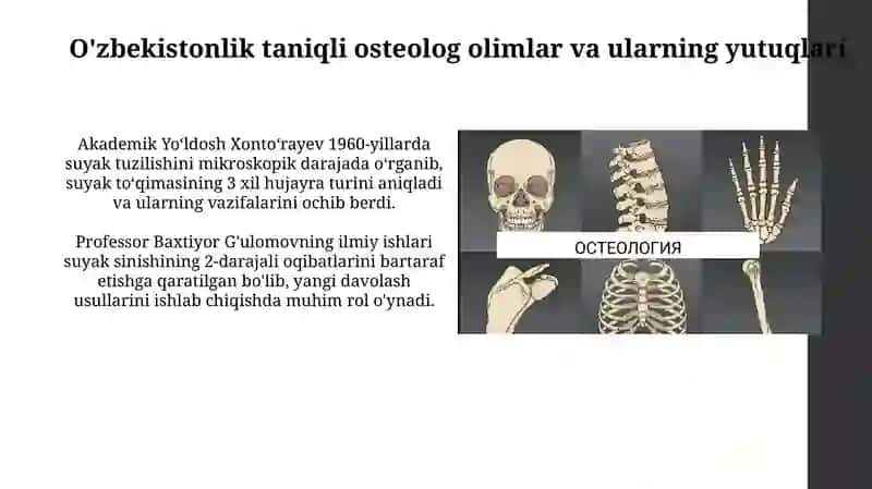 Osteologiya sohasining shakllanish tarixi va asosiy yo'nalishlari 4