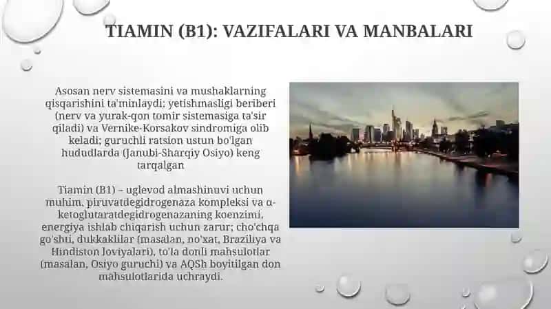 Vitaminlarning biologik roli va asosiy manbalari 4