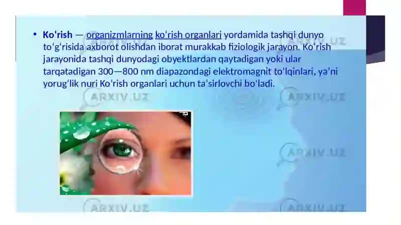 Ko'rish, rang ajratish senorikalarining biofizikaviy asoslari. Ko'z sistemasi kamchiliklari vaularni bartaraf qilish. Yoruqg'likning to'lqin uzunligini difraksion panjara yordamida aniqlash. Yorg'urlikning kvant va to'lqin hossalari. Fotobiologikjarayonlarining fizikaviy asoslari. 4