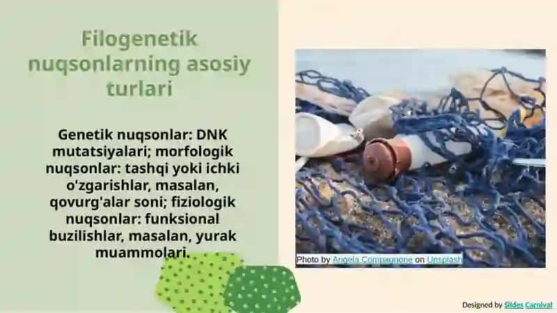 Odamlarda rivojlanishning filogenetik nuqsonlari 4