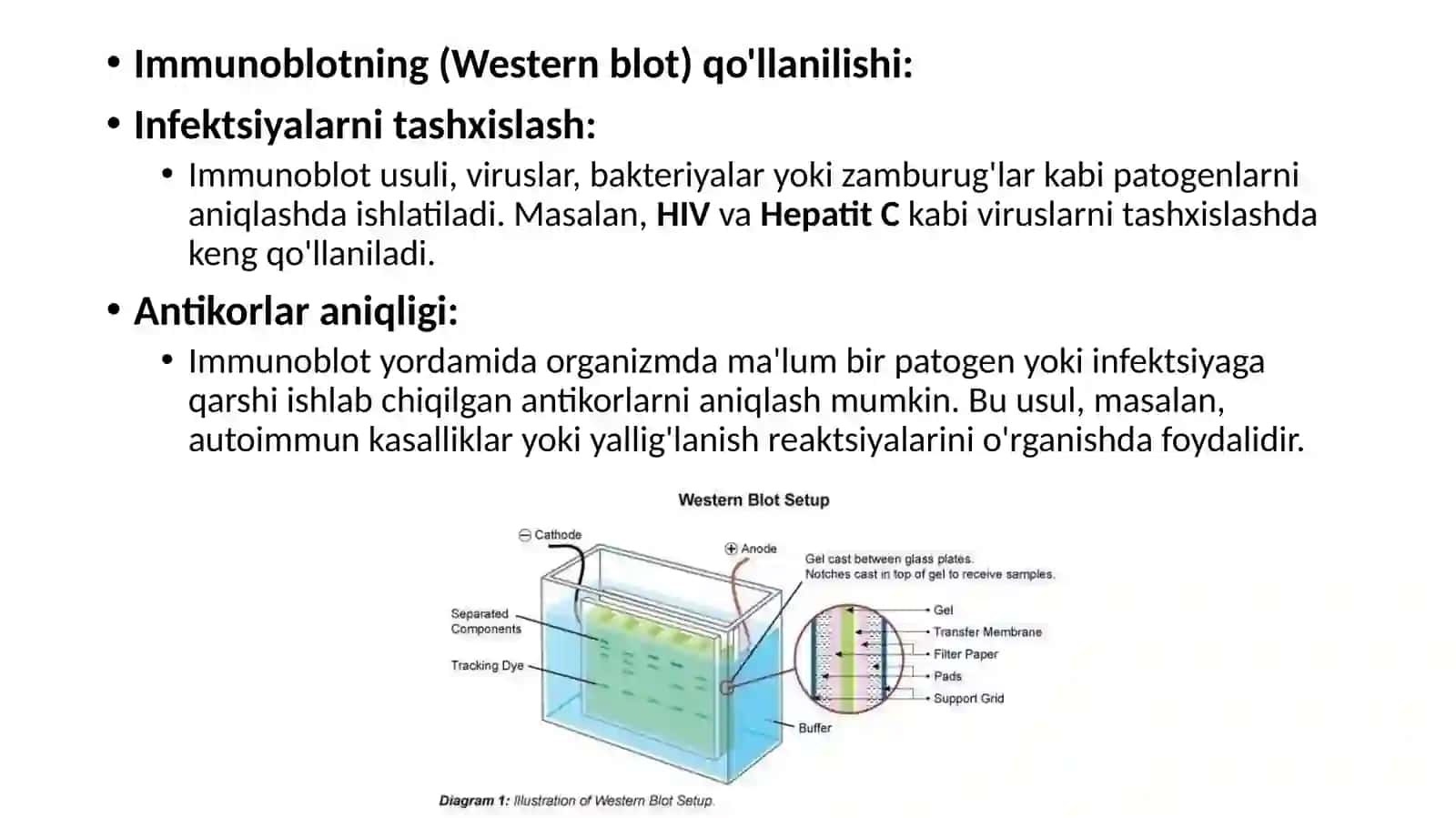 IFA,Immunitet,PZR,radioimmunereaksiyalarningyuqumlikasalliklartashhisidaqo’llanishi,qo’yishtehnikasi 4