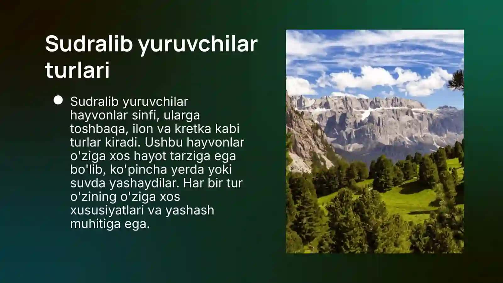 Zoologiya fani Sudralib yuruvchilar mavzusida slayd 4