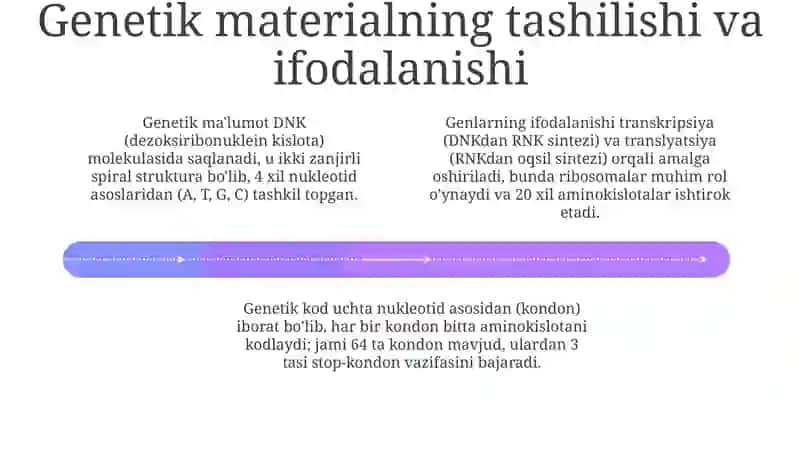 Irsiyatvairsiytug'makasalliklar 4