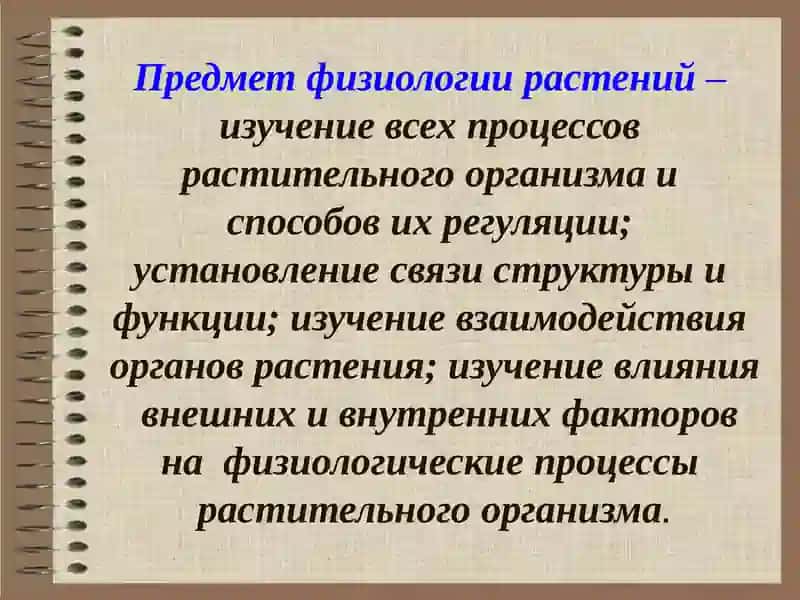 Физиология растений 4