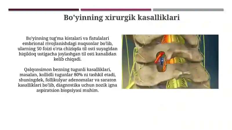 Boʻyinsohasining operativ jarrohligi 4