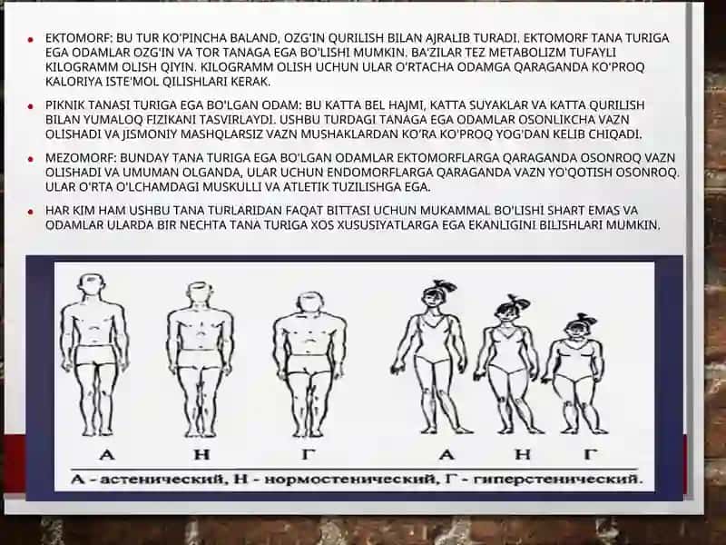 SOMATOTIP TURLARI (ERTA SPORT SARALASHIDA TANA TUZILISHINING AHAMIYATI) 4