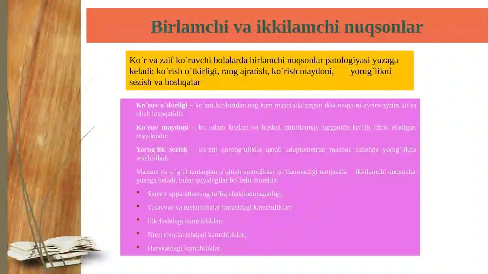 Ko‘rishida nuqsoni bo‘lgan bolalar bilan olib boriladigan logopedik ishlarning o‘ziga xos xususiyatlari 4