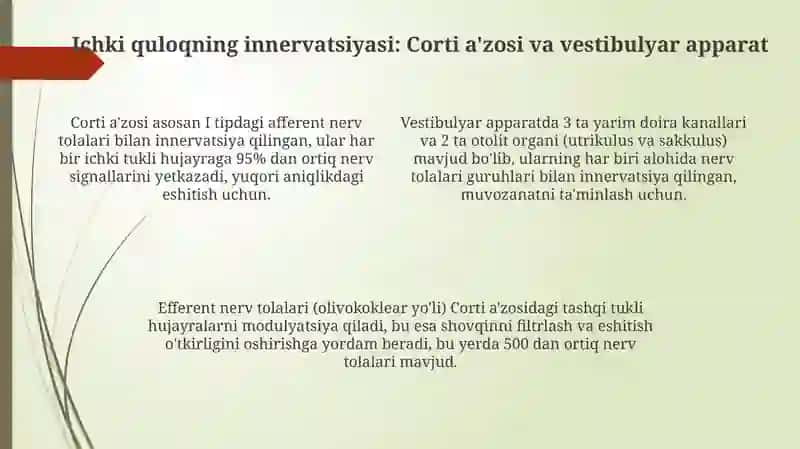Eshitish organi innervatsiyasining xususiyatlari 4