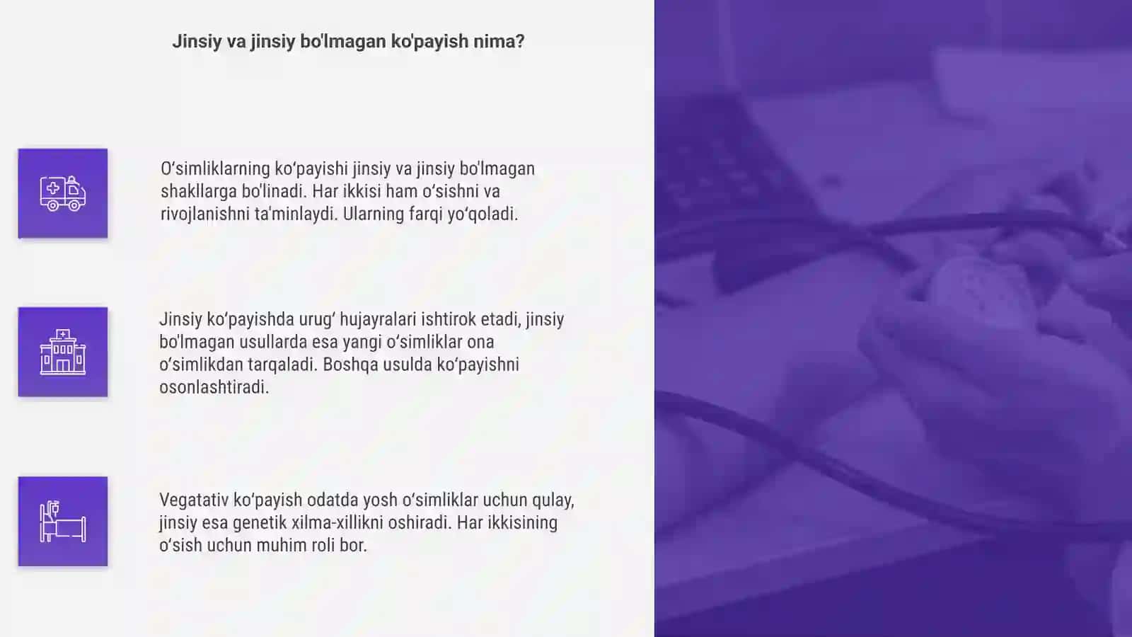 Oʻsimliklarning koʻpayishi: jinsiy jinssiz vegatativ koʻpayish 4