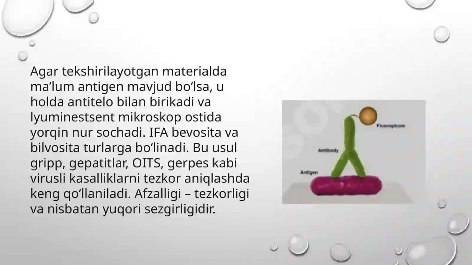 IFA, Immunoblot, PZR, radioimmunreaksiyalarningyuqumlikasalliklartashhisidaqo'llanilishi,qo'yishtexnikasi 4