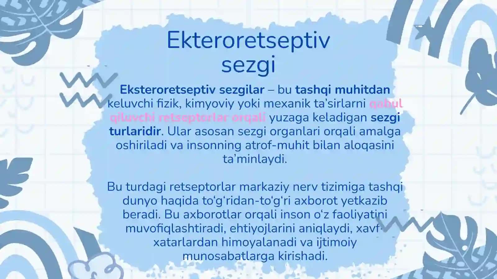 EKSTERORETSEPTIV SEZGILAR, ULARNING KLASSIFIKATSIYASI 4