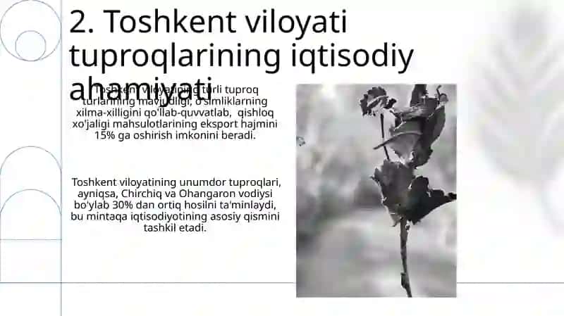 Toshkent viloyati tuproqlari 4