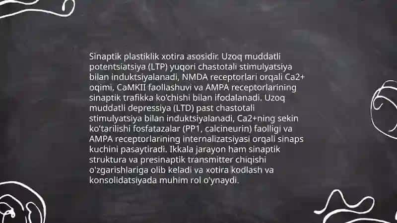 Xotiraning nerv -fiziologik asosi 4