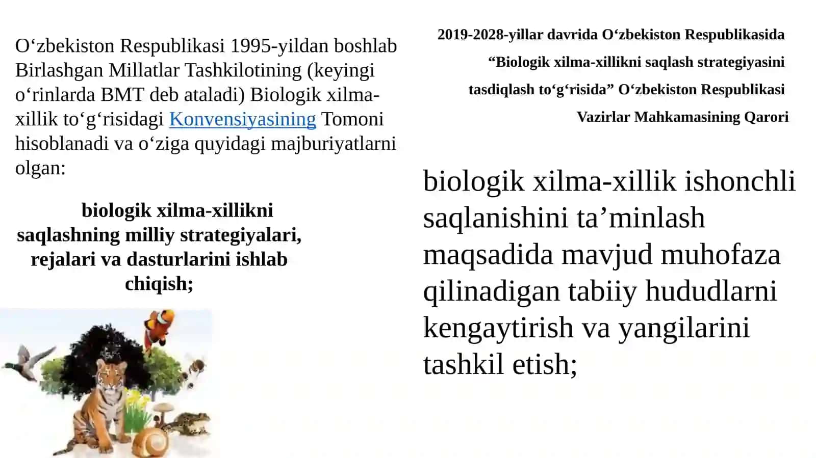 Bioxilmaxillik va ekosistema barqarorligida Orol dengizining oʻrni 4