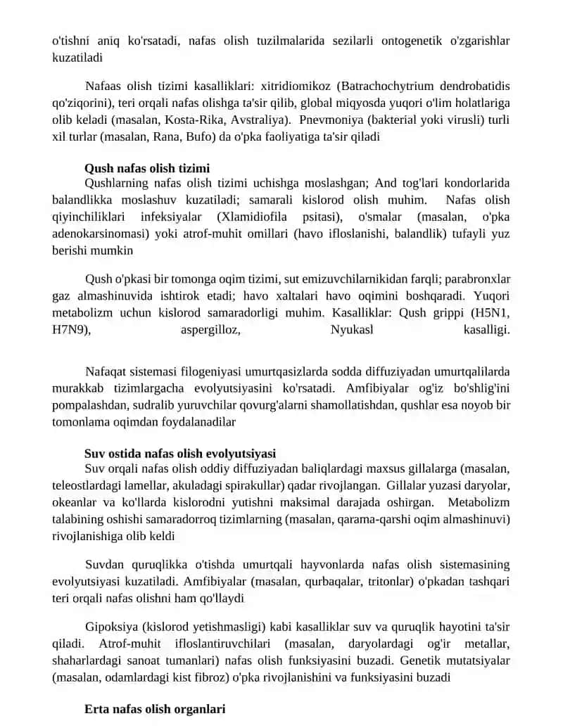 Taqqoslovchi nafas olish anatomiyasi 4