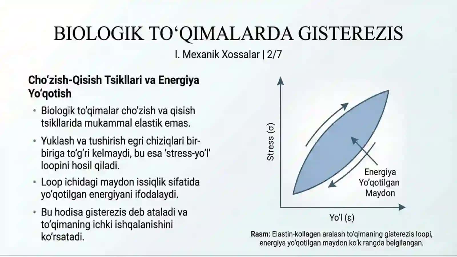 Biologik to’qimalarning mexanik xossalari va Biologik tizimlarda lyuminestsensiya 4